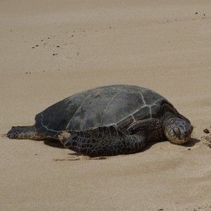 Meet your Posher, Beverly